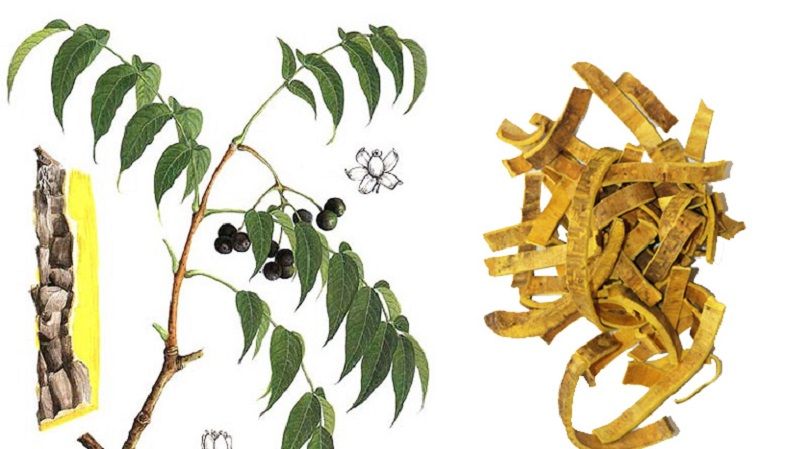 sản phẩm ảo mã 5tr